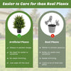 2-pack artificial cedar topiary ball trees in cement pots, vibrant leaves, easy maintenance for home decoration.