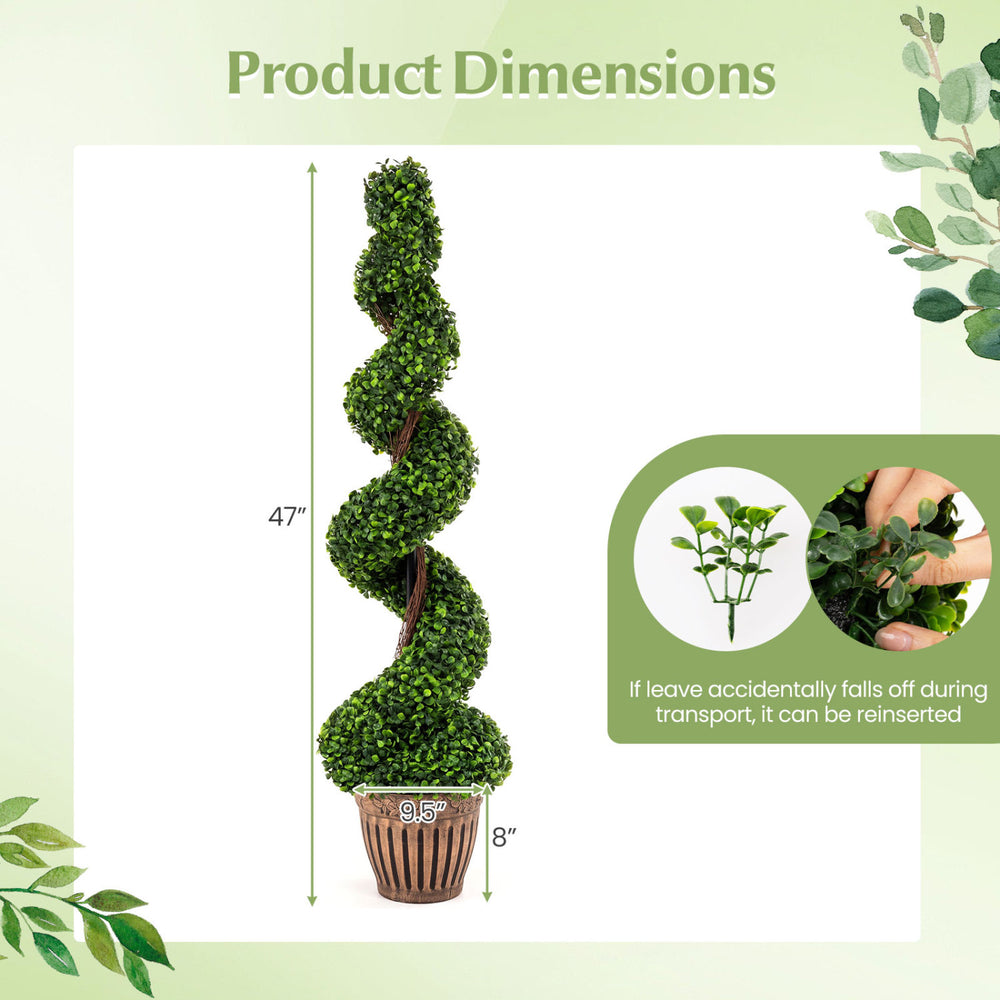 Green boxwood spiral tree set, 47 inches tall with a 9.5-inch cement base, ideal for indoor and outdoor decoration.