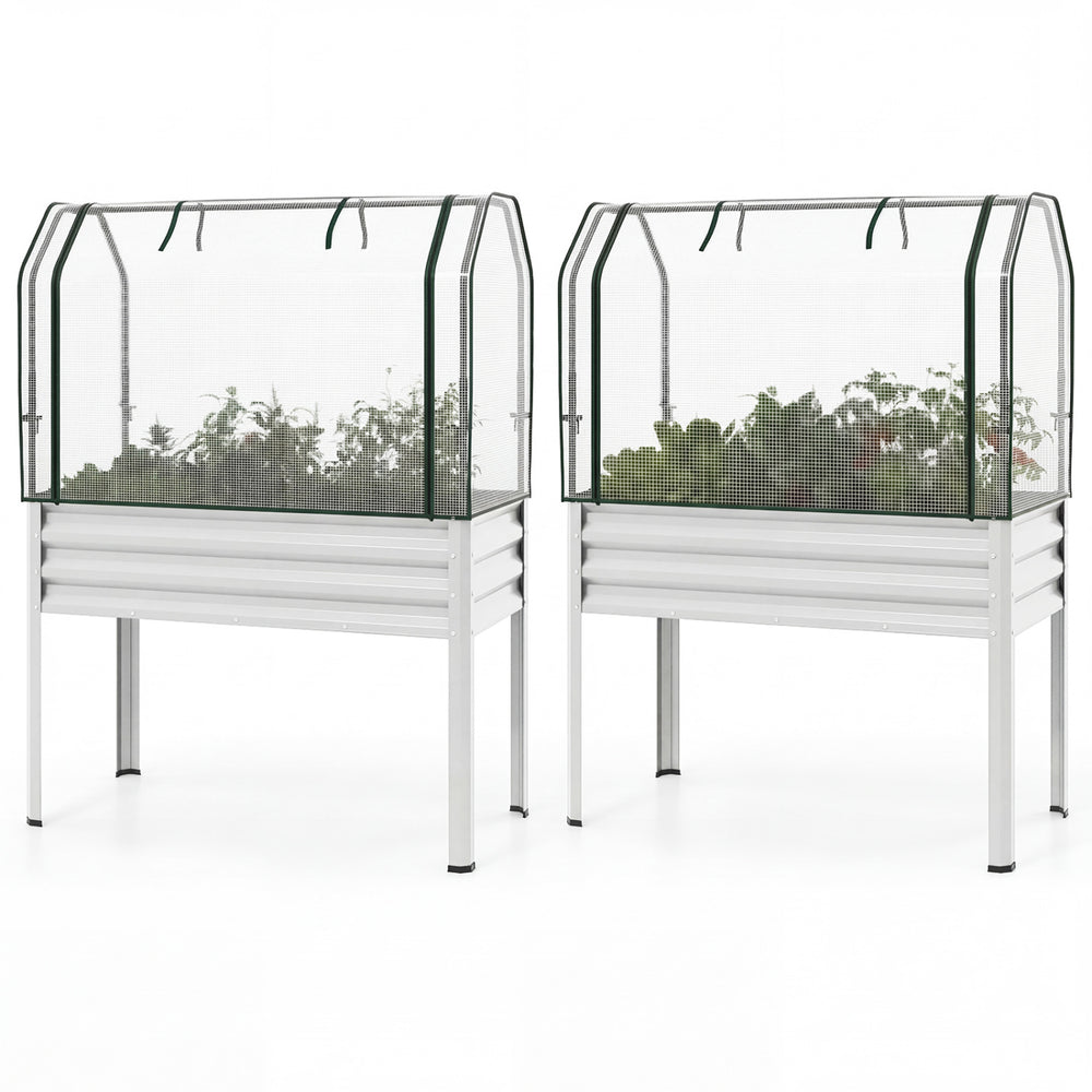 Galvanized raised garden beds with greenhouse covers, ideal for growing vegetables and flowers while protecting from.