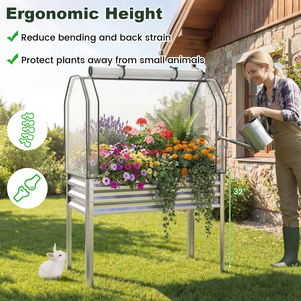 Galvanized raised garden bed with greenhouse cover, 32" height, ideal for growing vegetables and flowers while.