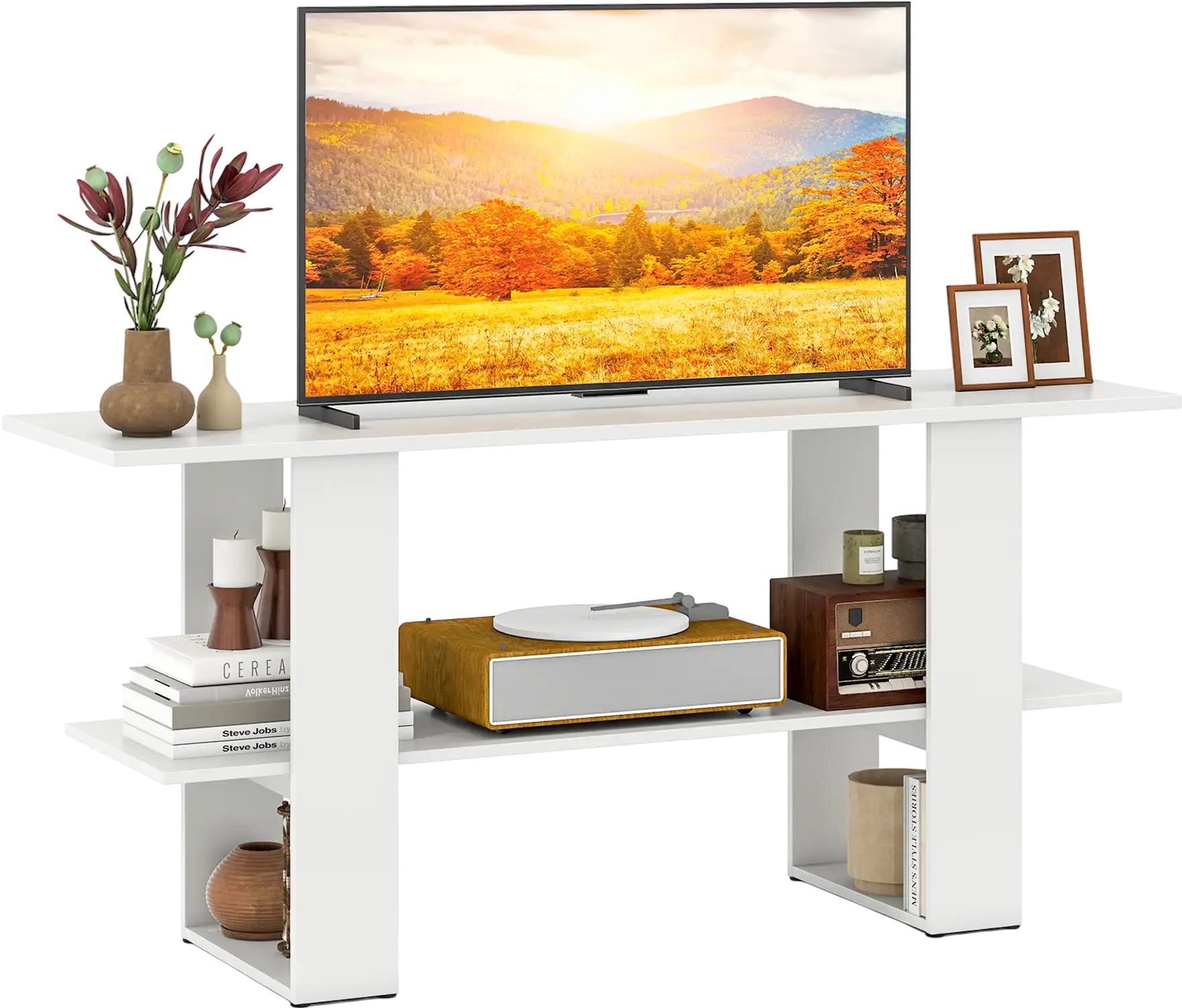 Costway 2-Tier TV Stand Console Table w/ Storage for TVs up to 55