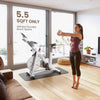 Yesoul S3 Exercise Bike with Adjustable Resistance Belt Drive Bluetooth App New