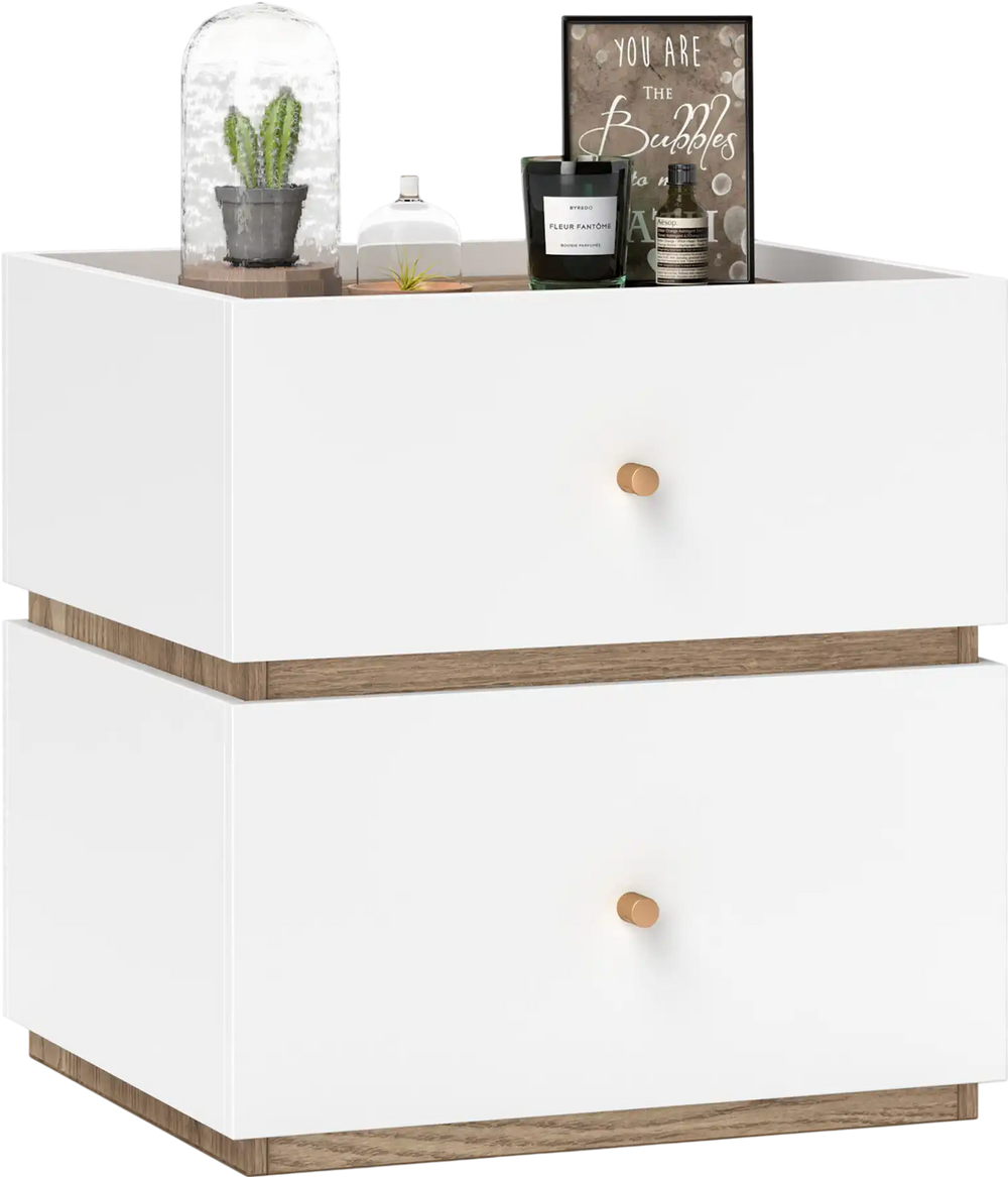 2-Drawer Modern Nightstand with Storage for Living Room Bedroom