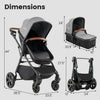 2-in-1 convertible baby stroller in gray with adjustable handlebar, retractable canopy, and car seat adapters for infants.