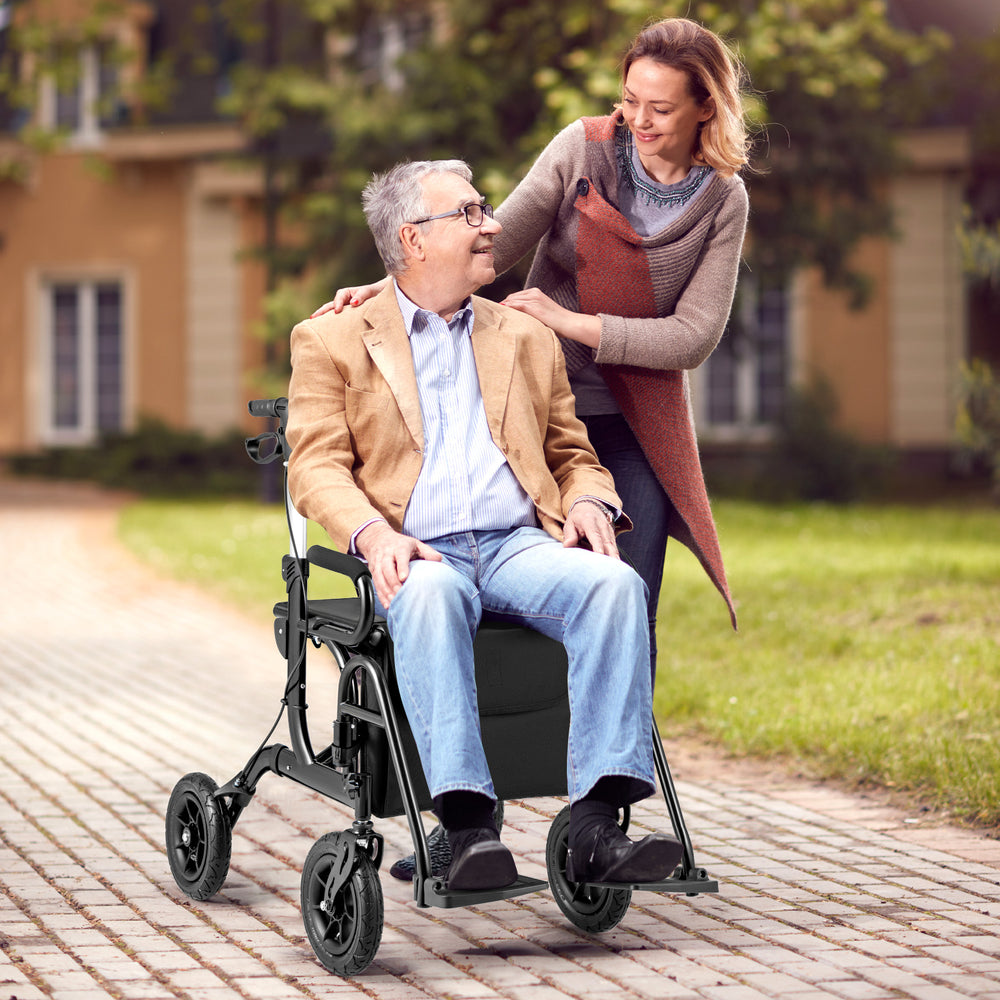 2-in-1 Foldable Rollator Walker with Seat abd 9 Inch Pneumatic Tires for Seniors-Black - Gallery View 1 of 10