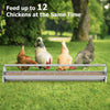 Metal chicken feeder with drainage holes, accommodates 12 chickens, made of rustproof galvanized steel for easy feeding.