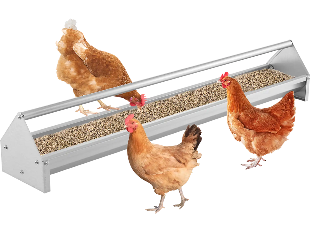 Metal chicken feeder with drainage holes, accommodating 12 chickens, made of rustproof galvanized steel for easy.