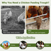 Metal chicken feeder with drainage holes, accommodates 12 chickens, rustproof galvanized steel for easy cleaning and.