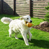 Interlocking artificial grass tiles in a lush green setting, perfect for maintenance-free indoor and outdoor use.