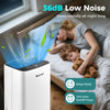 Portable dehumidifier with 36dB low noise, ideal for bedrooms, removing 30 pints of moisture daily for comfort.