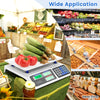 66lb price computing scale with dual LCD displays, ideal for farmers market and deli, featuring stainless steel.