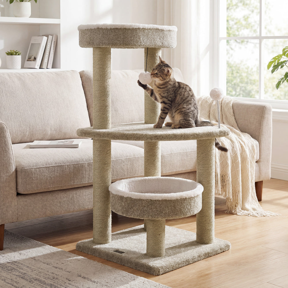 Multi-level 36" carpeted cat tree with plush perches, scratching posts, and dangling ball for interactive play.