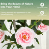 Artificial 36-inch camellia tree with pink flowers and 116 vibrant leaves, perfect for home or office decoration.
