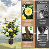 38-inch artificial camellia tree with yellow silk flowers and durable PE trunk, perfect for year-round home decoration.