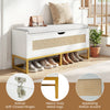 Rattan storage chest shoe bench with padded seat, soft-close hinges, and metal legs for entryway organization.