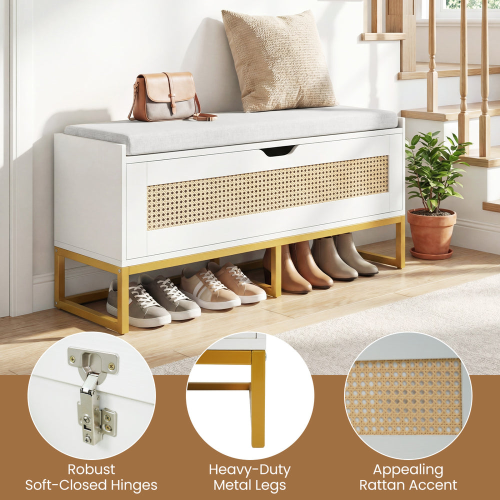 Rattan storage chest shoe bench with padded seat, soft-close hinges, and metal legs for entryway organization.