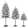 Set of three snow-flocked pre-lit Christmas trees in 3', 4', and 5' heights with warm white LED lights for festive decor.