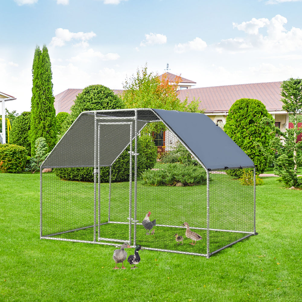 Large walk-in chicken run cage featuring a solid steel frame and spacious design, ideal for safe outdoor activities.