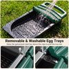 Removable and washable egg trays in the green 3-compartment roll away chicken nesting box for easy maintenance.