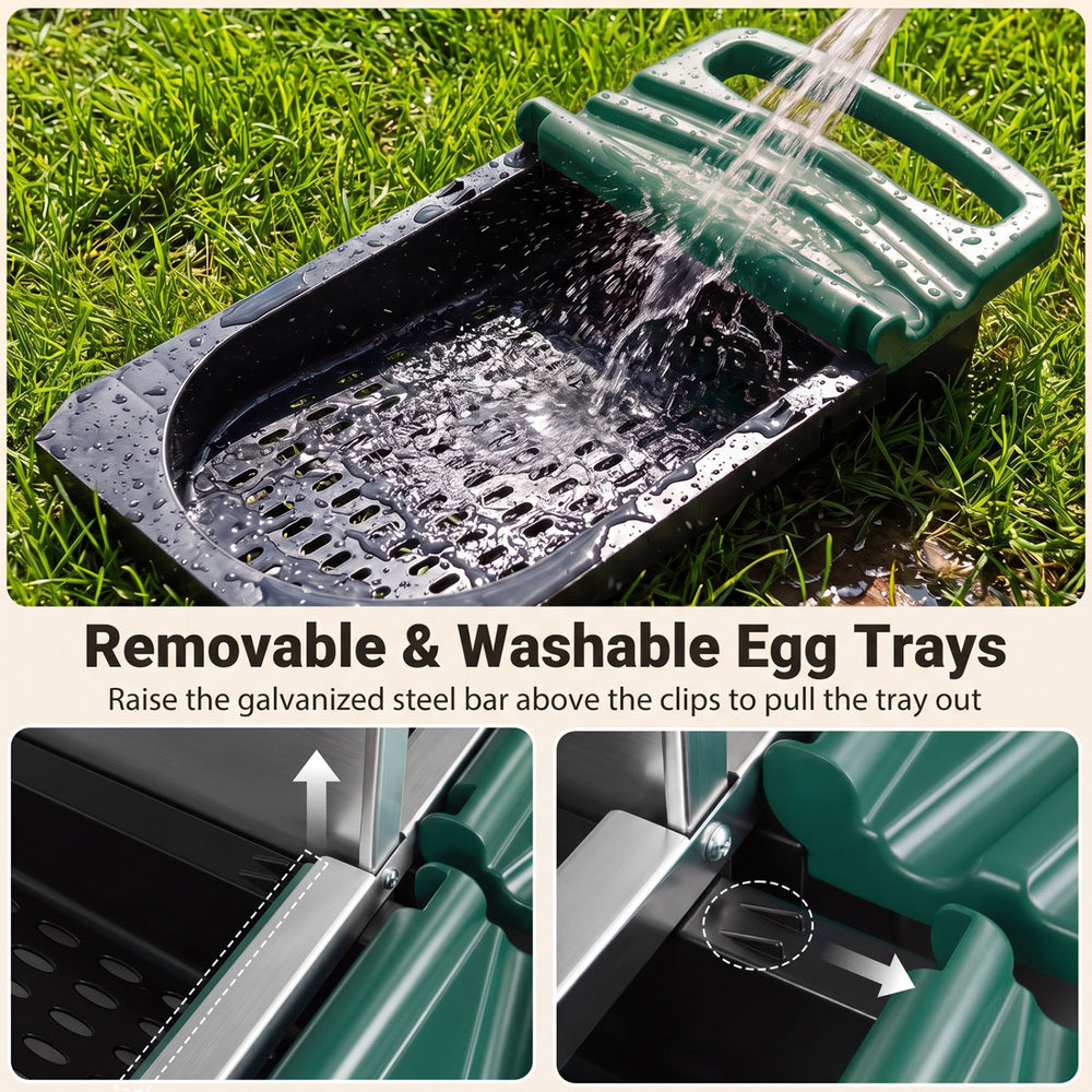 Removable and washable egg trays in the green 3-compartment roll away chicken nesting box for easy maintenance.