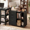 3-Drawer Mobile Lateral File Cabinet Printer Stand-Black - Gallery View 1 of 11