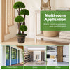 3 FT artificial cypress topiary tree with dense green foliage and real wood trunks, perfect for indoor or outdoor decor.