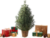 3 FT artificial potted Christmas tree with lightly sparse branches and a distressed gold flowerpot, perfect for festive decor.