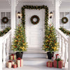 Two 3 FT pre-lit potted Christmas trees with LED lights and red berry clusters, perfect for festive porch decorations.