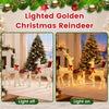 Lighted golden Christmas reindeer family set with 280 LED lights, showcasing a warm glow for festive outdoor decor.