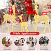 Lighted family deer set with 221 LED lights, featuring a sturdy metal frame, perfect for festive indoor and outdoor.
