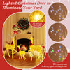 Lighted family deer set with 221 LED lights and 16 RGB flashing lights, perfect for festive indoor and outdoor displays.