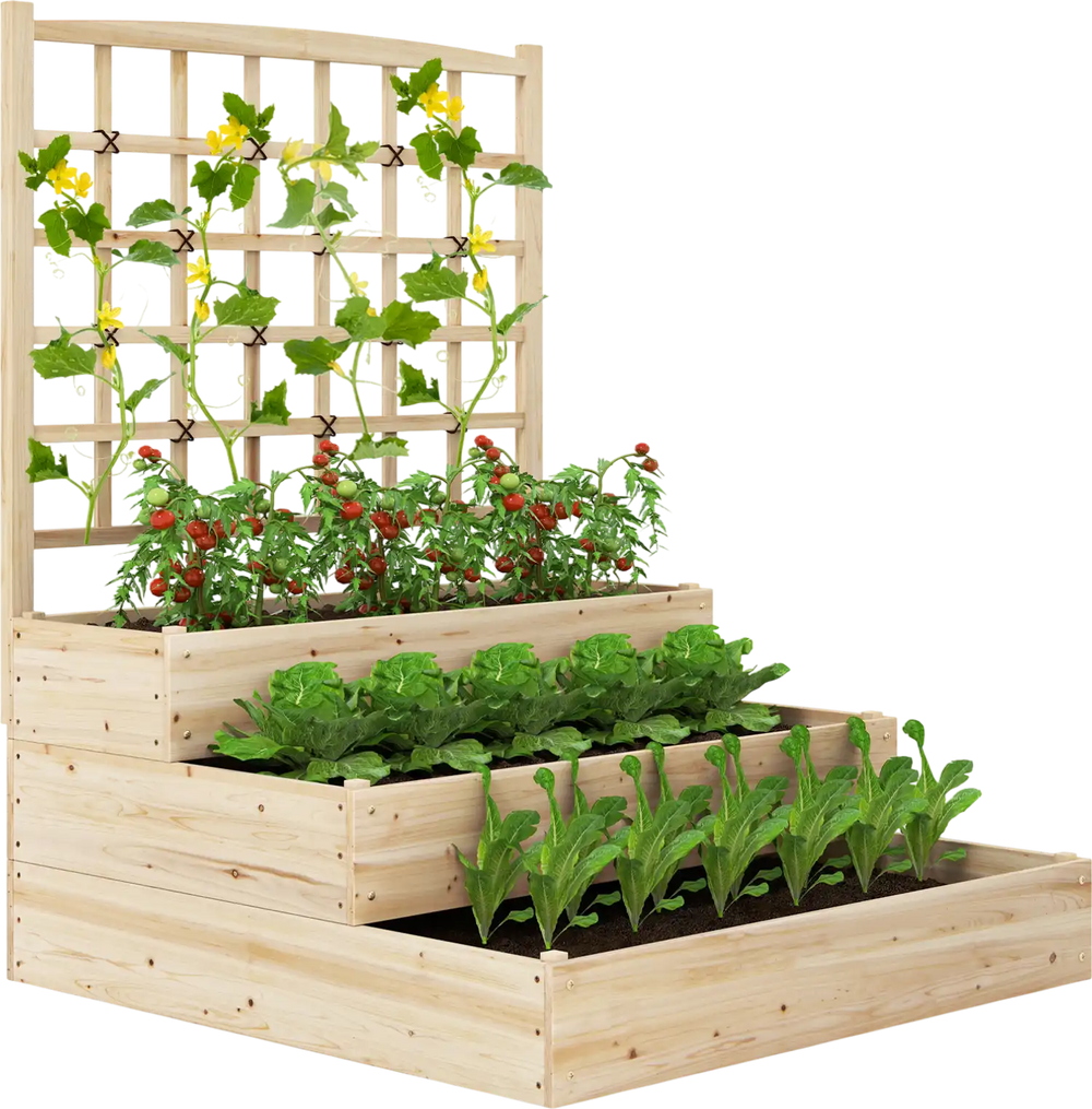3-tier raised garden bed with lattice trellis, made of fir wood, ideal for various plants and proper drainage.