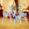 Large lighted Christmas reindeer family set showcasing a 5 ft buck, 4 ft doe, and 3 ft fawn, perfect for indoor.