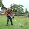 Sunseeker CBC7611P Grass Trimmer and Brush Cutter 1800W 60V New