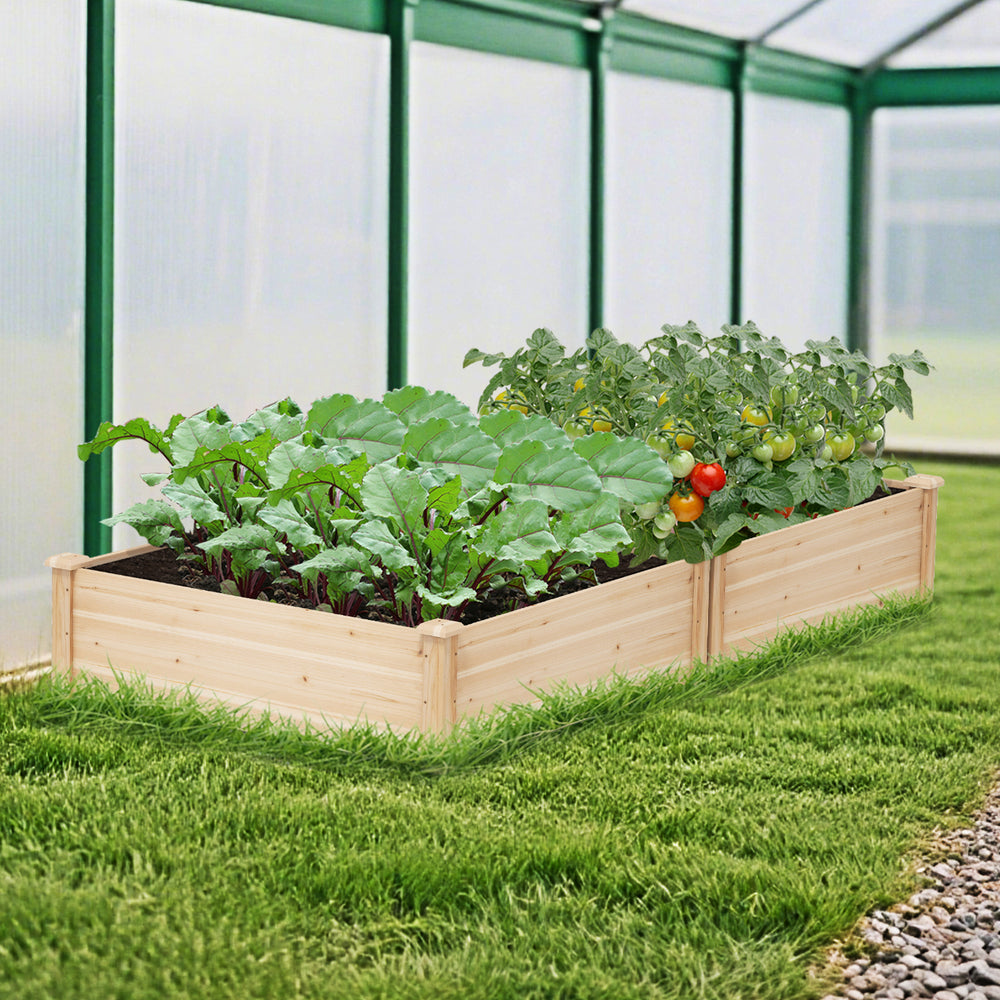 Natural fir wood raised garden bed, 40" x 40", ideal for growing vegetables and herbs in a greenhouse setting.
