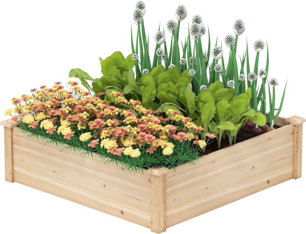 Wood raised garden bed in natural fir, 40" x 40", filled with colorful flowers and greens for backyard gardening.
