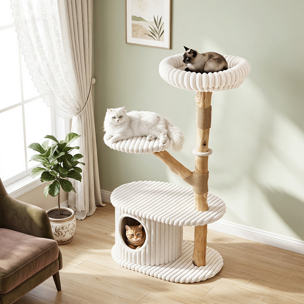 Multi-level modern cat tower with real wood branches, beige color, featuring a cozy condo and plush top perch for indoor cats.