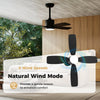 42-inch black ceiling fan with light, featuring 6 speeds and natural wind mode for enhanced comfort in indoor spaces.