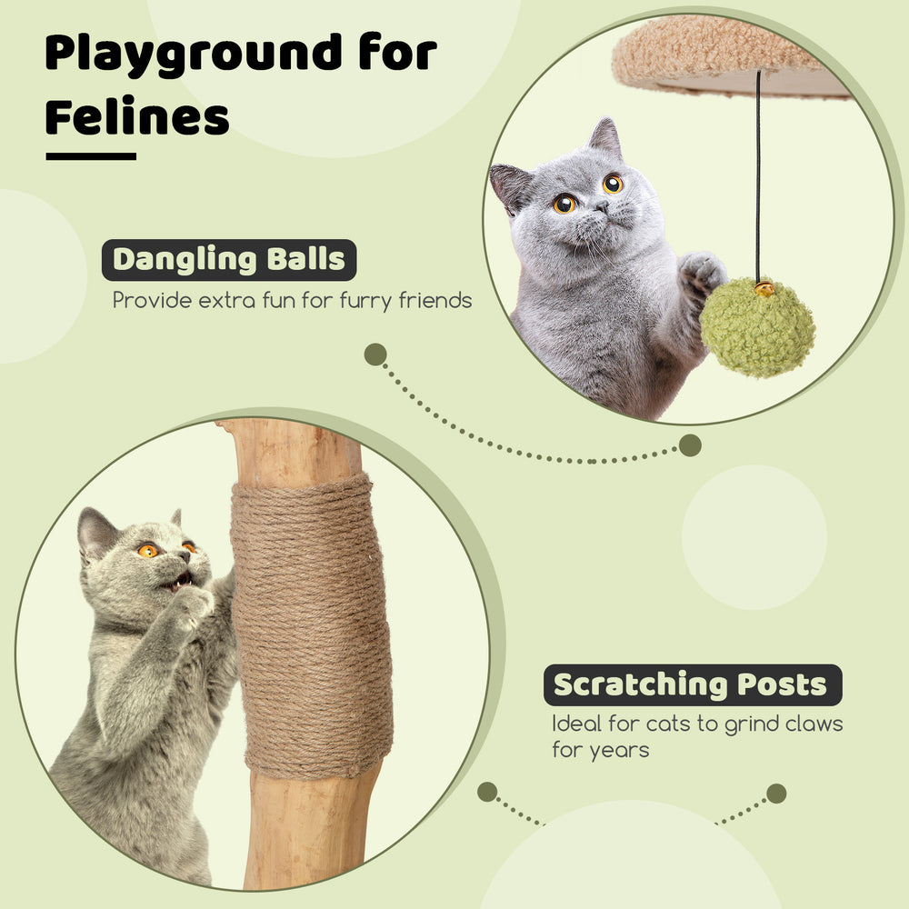 Wooden cat tree with padded top perch, scratching posts, and dangling balls for playful and cozy feline fun.