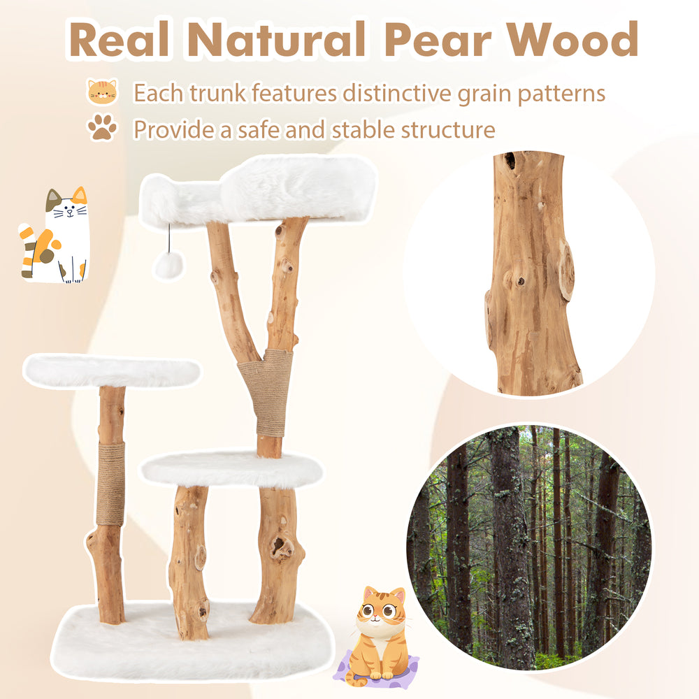 Solid wood cat tree with natural pear wood trunks, plush perch, and jute scratching posts for playful kittens.