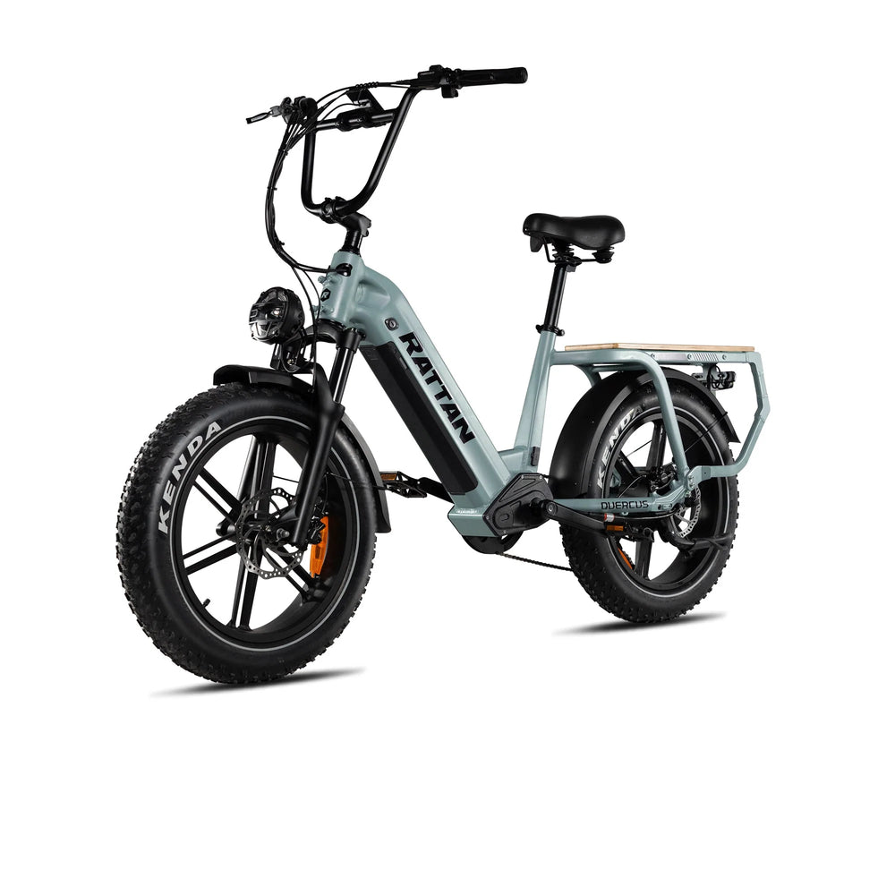 Rattan Quercus RCG-03 Electric Bicycle 30 MPH 80 Mile Range 750W 48V 20Ah New
