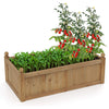 Rectangular brown planter box made of natural fir wood, featuring drainage holes, filled with tomatoes and leafy greens.