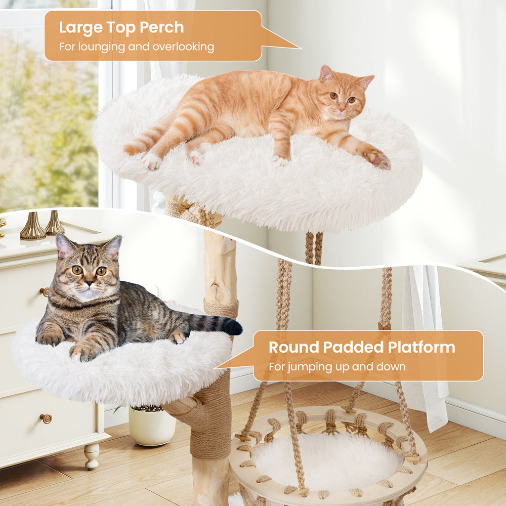 Large top perch and round padded platform on a 48.5-inch solid wood cat tree for lounging and jumping.