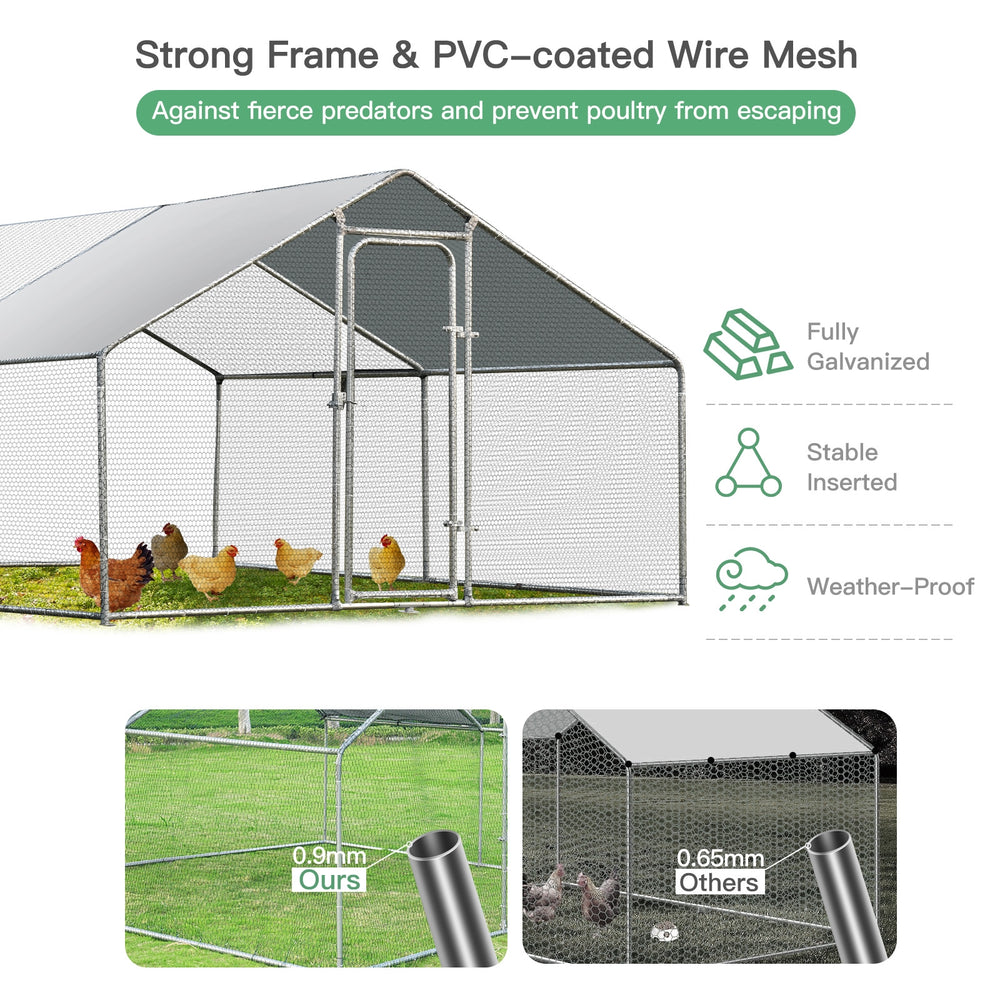 Large walk-in chicken coop with galvanized frame and PVC-coated wire mesh, providing a secure outdoor space for.
