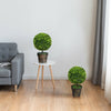 Two 24-inch artificial boxwood topiary ball trees in pots, perfect for indoor and outdoor decoration.