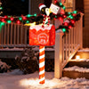 Lighted penguin on mailbox decoration with 100 warm white LEDs, perfect for festive outdoor displays in winter.