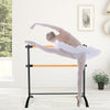 4 Foot Portable  Freestanding Double Ballet Barre-Black - Gallery View 1 of 9