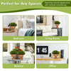 Artificial boxwood topiary trees in golden pots, perfect for home or office decor, requiring no maintenance.