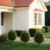 24-inch artificial cypress topiary ball tree set with vibrant green leaves, perfect for outdoor decoration and easy.