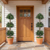 51" Artificial Triple Ball Boxwood Topiary Tree with 59 Blossoms Set of 2-Purple - Gallery View 1 of 8